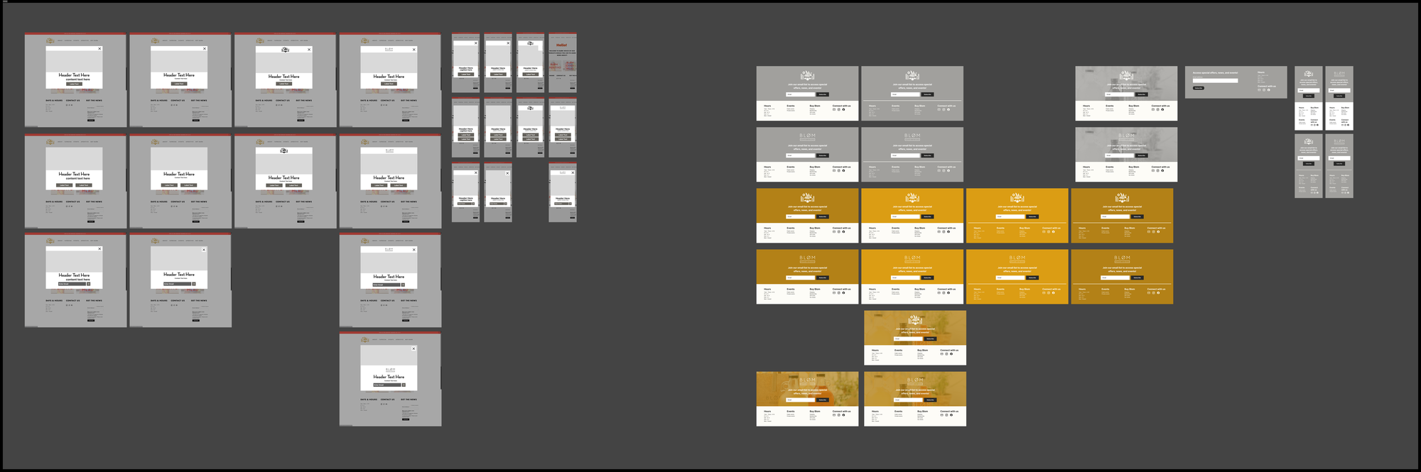 Wireframes for the delayed email capture pop-up and embedded form